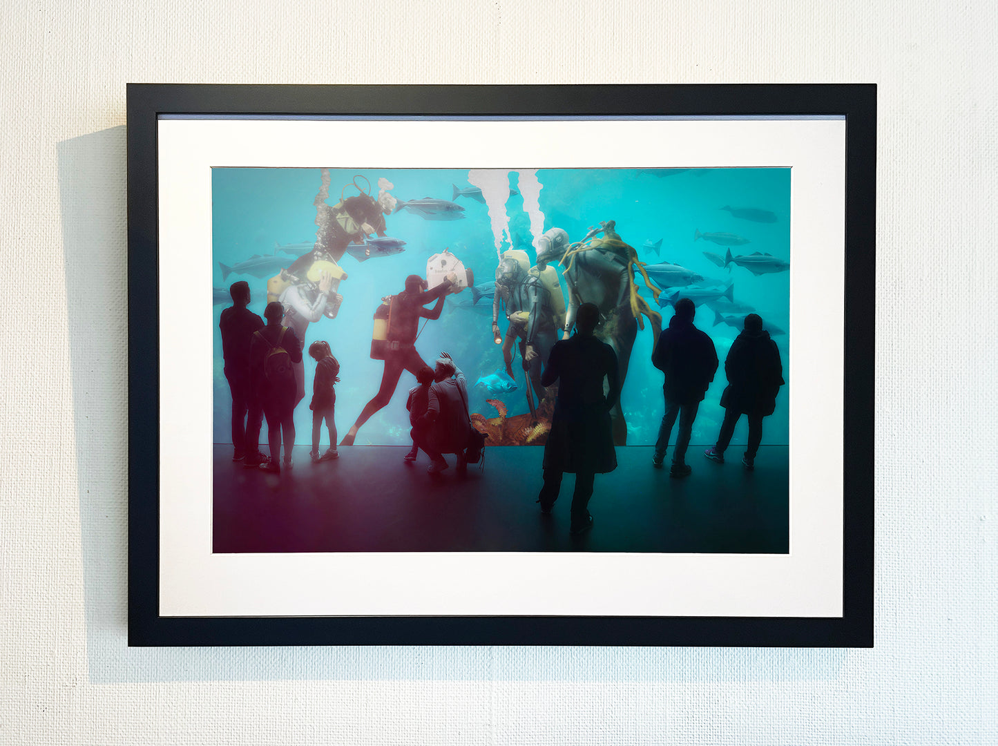 Life Aquatic